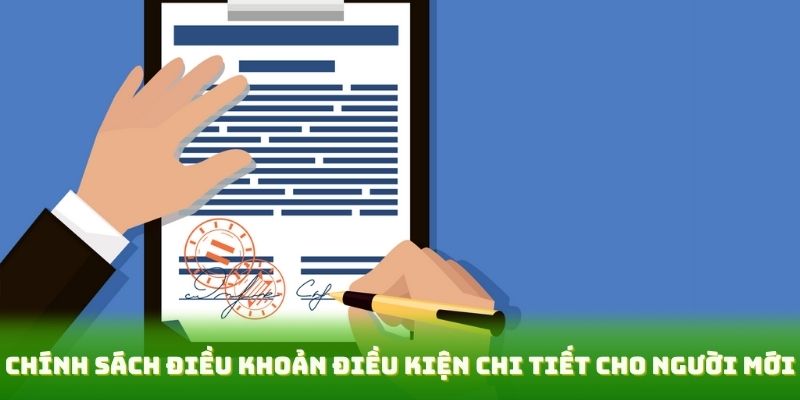 Chính sách điều khoản điều kiện chi tiết cho người mới