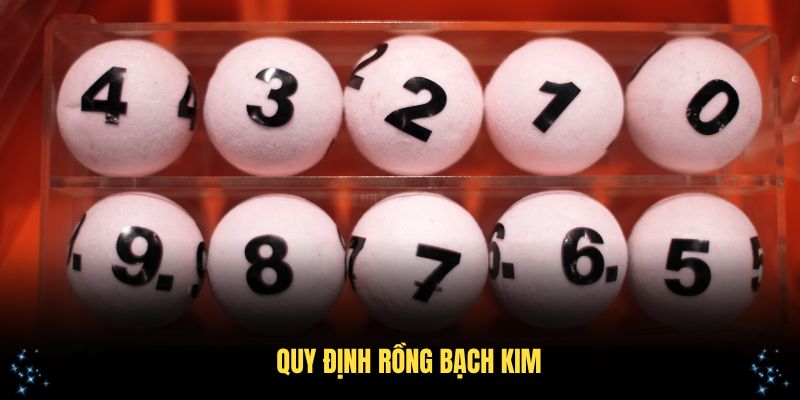 Khám phá quy định Rồng Bạch Kim mới nhất