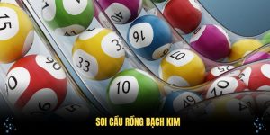 Soi Cầu Rồng Bạch Kim Với Các Thông Tin Độc Đáo Tại GO8
