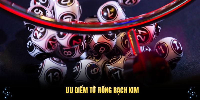Các ưu điểm từ Rồng Bạch Kim cho người dùng